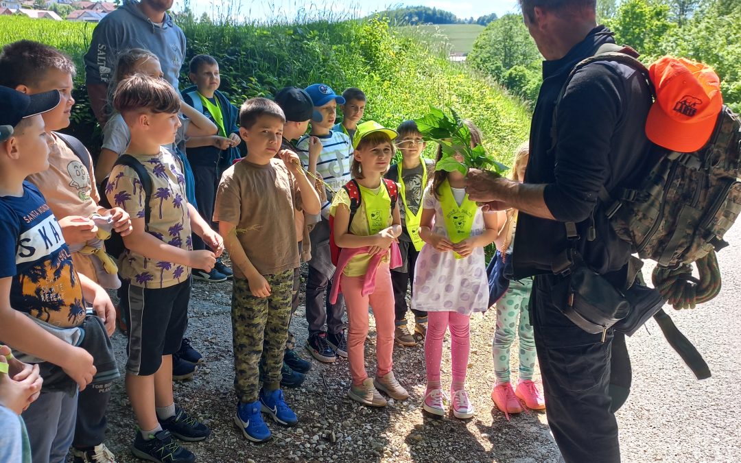 Gozdno preživetje s strokovnjakom